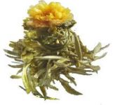 Teeblume Teerose -Jin Yuan Bao-