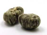 Teeblume Teerose -Jin Yuan Bao-