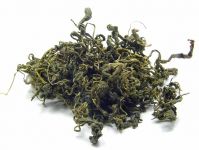 Jiaogulan aus Wildwuchs