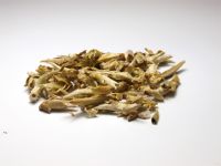 Yunnan wilde Teeknospen grüner Tee China Wildwuchs