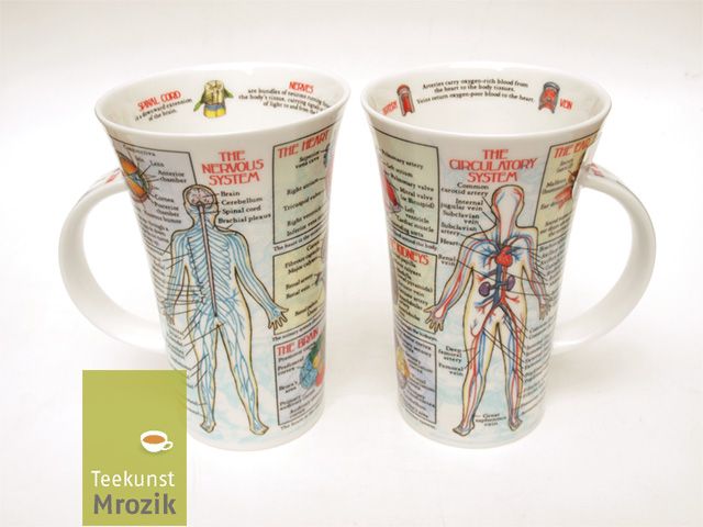 Dunoon Becher 'The World Of The Bike' – Feines Knochenporzellan, Fahrrad-Design, Perfekt Für Tee & Kaffee